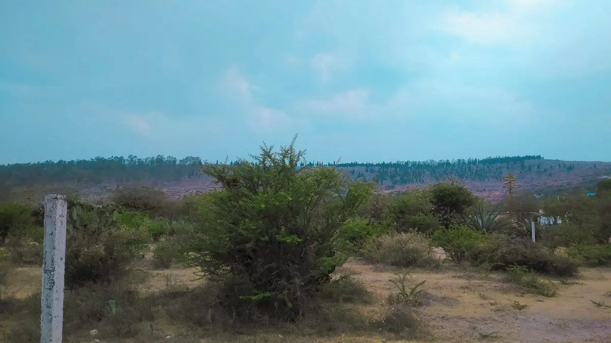 Terreno en Venta con Escritura San José Iturbide Guanajuato — foto 4