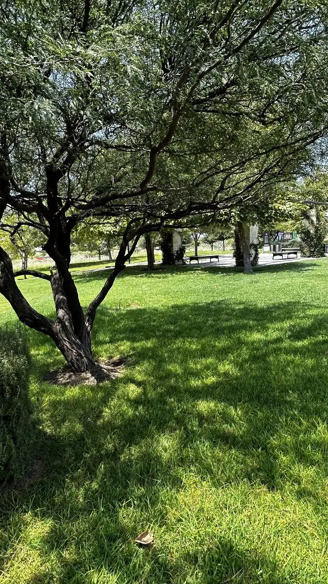 Terreno en Venta en la Espiga Condominio Aragon Iii — foto 3