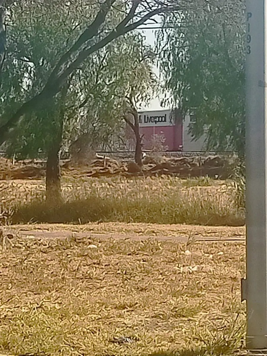 Macrolote Comercial Venta Celaya — foto 3