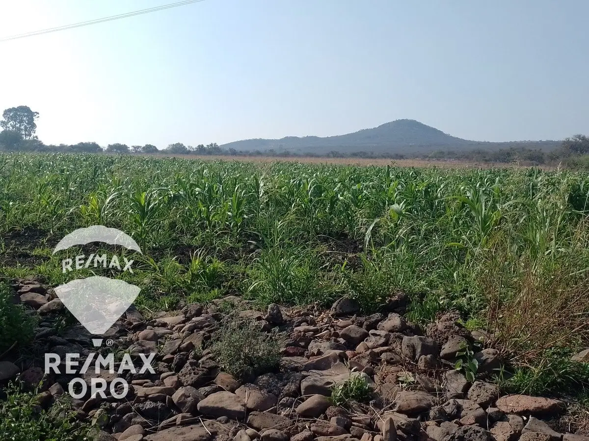 Terreno en Venta (Parcela) — foto 3