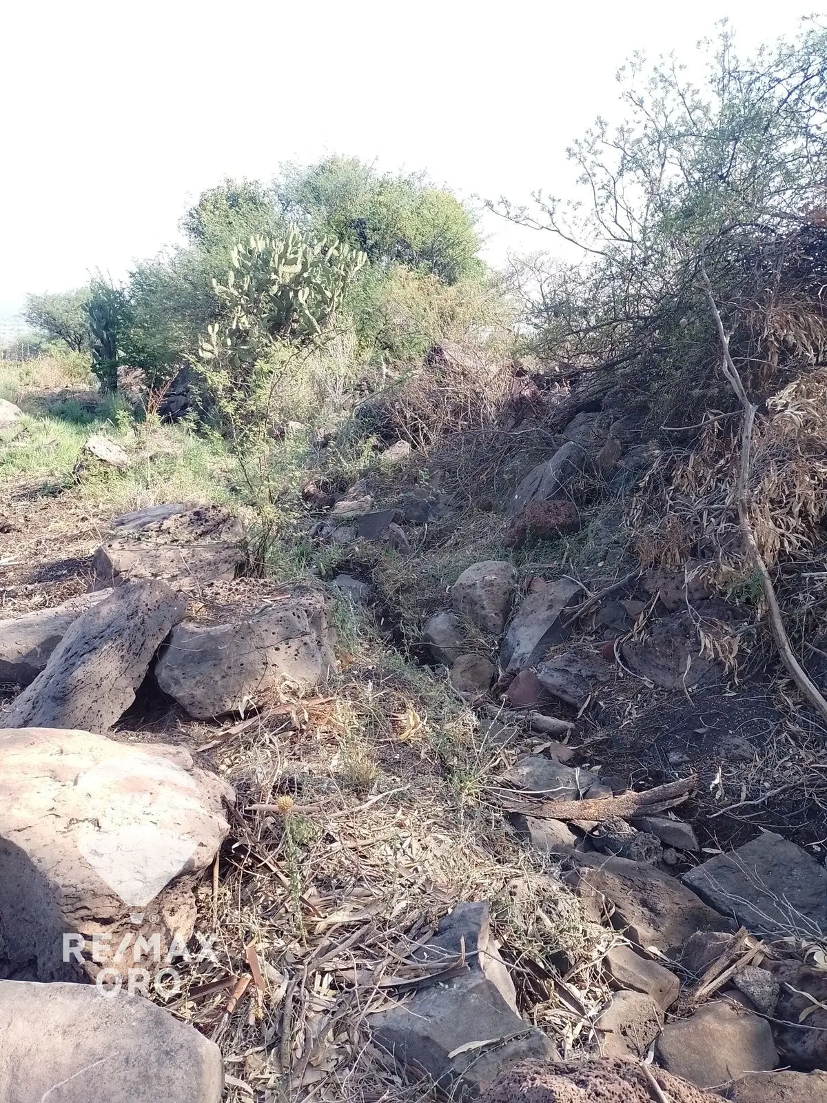 Terreno en Venta (Parcela) — foto 4