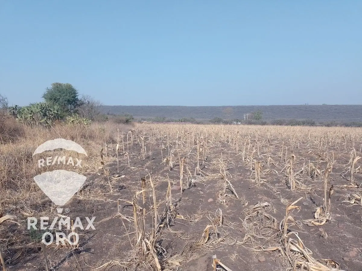 Terreno en Venta (Parcela) — foto 5