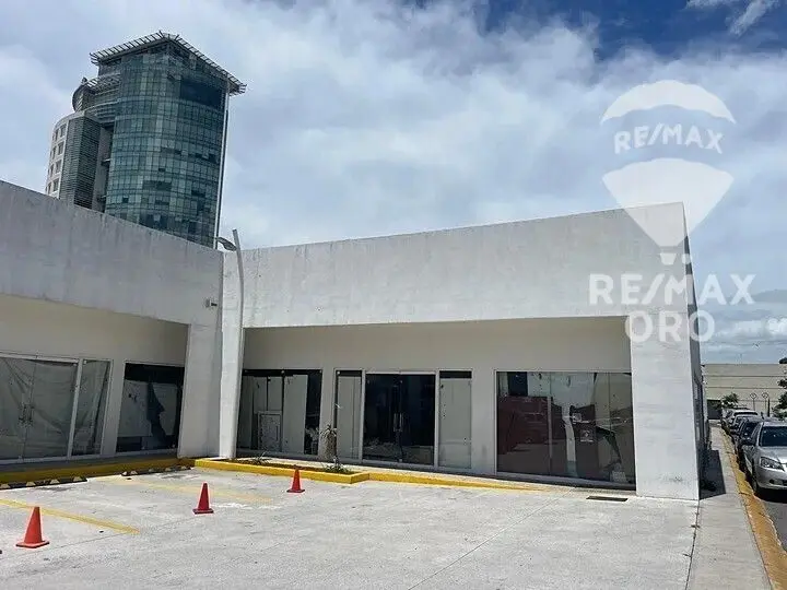 Local Comercial Renta — foto 3