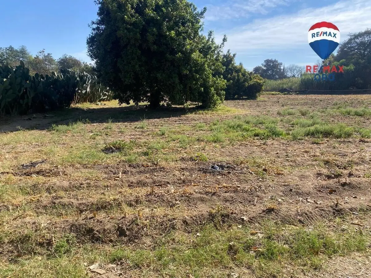 Venta Terreno San Juan del Río — foto 6