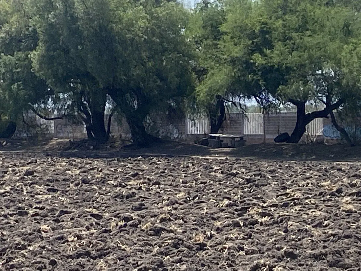 Celaya Terreno Comercial — foto 3