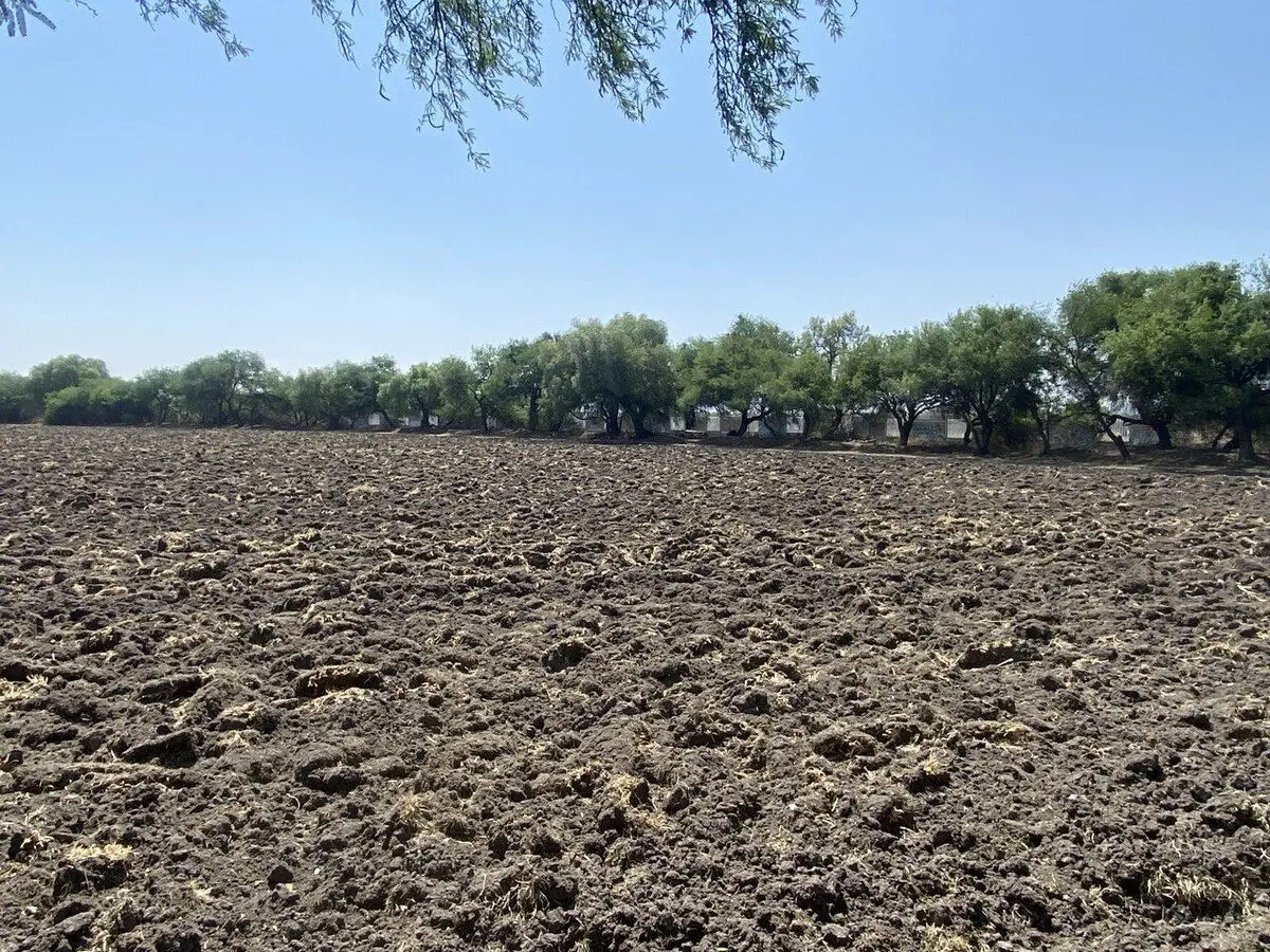 Celaya Terreno Comercial — foto 4