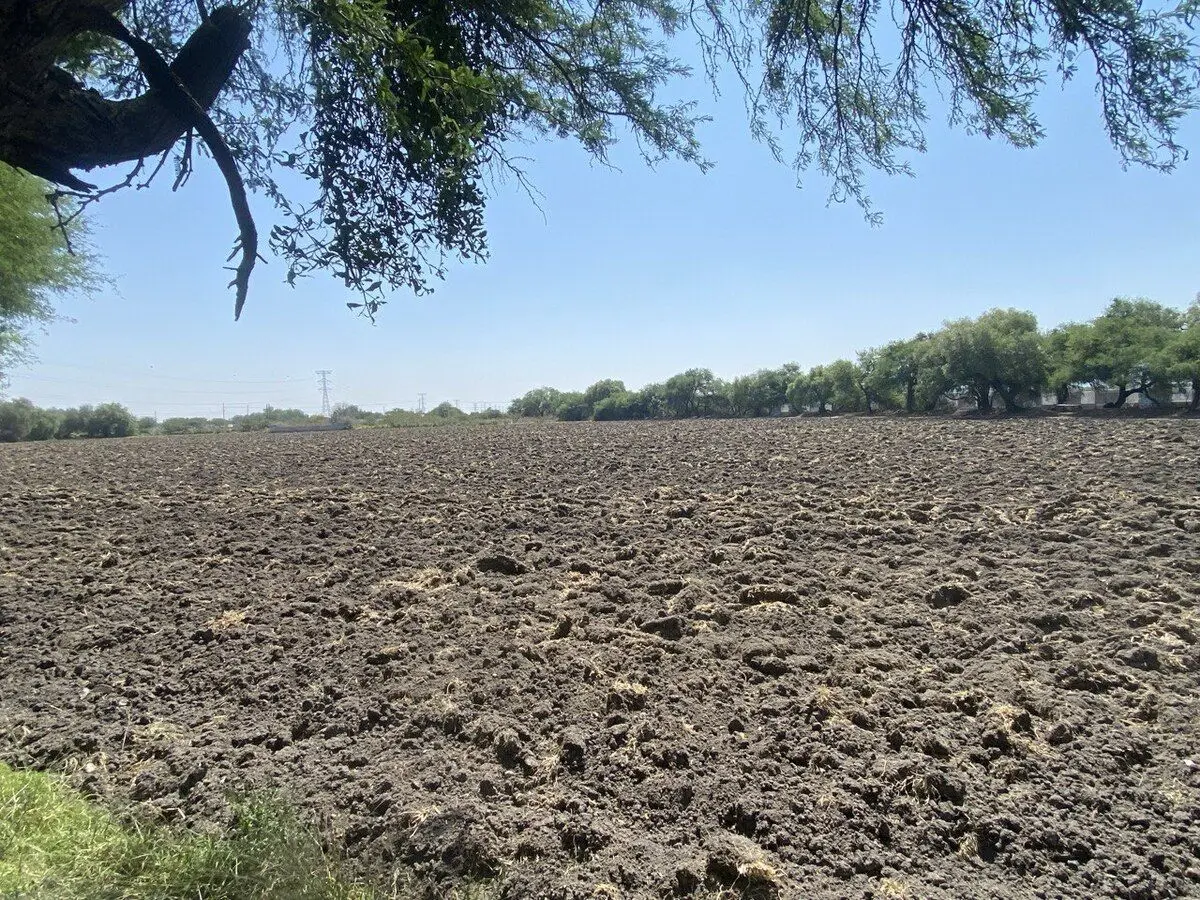 Celaya Terreno Comercial — foto 5