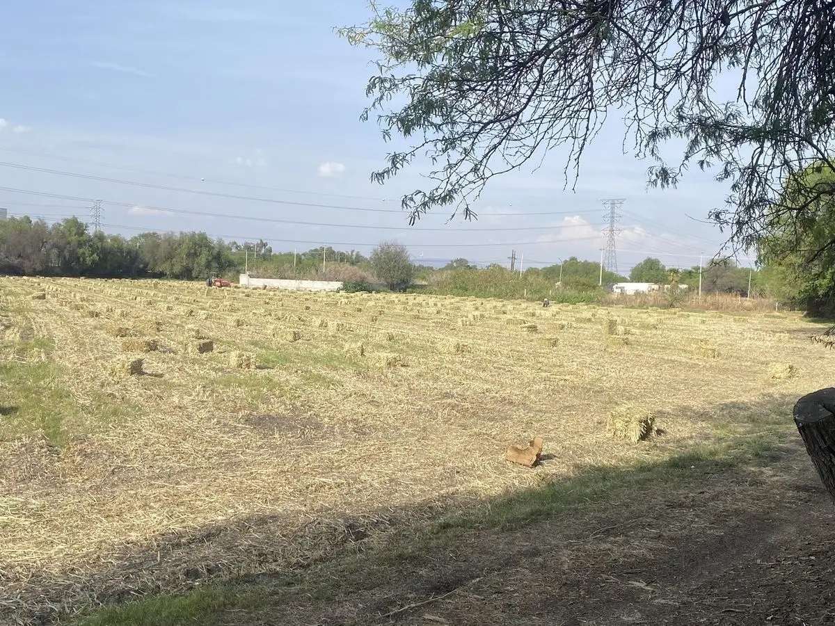 Celaya Terreno Comercial — foto 6