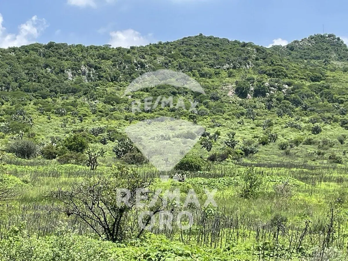Terreno en Venta — foto 3