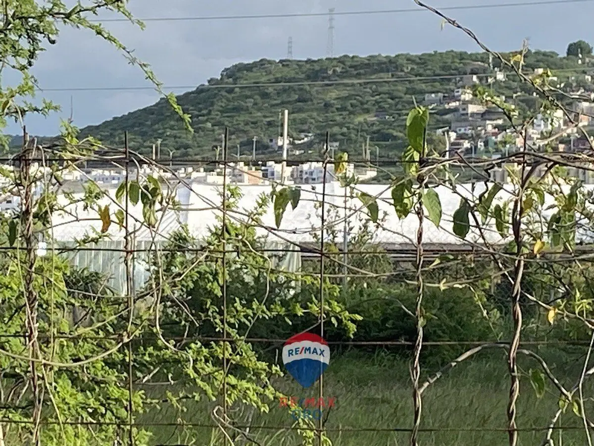 Los Olvera Venta Terreno — foto 2