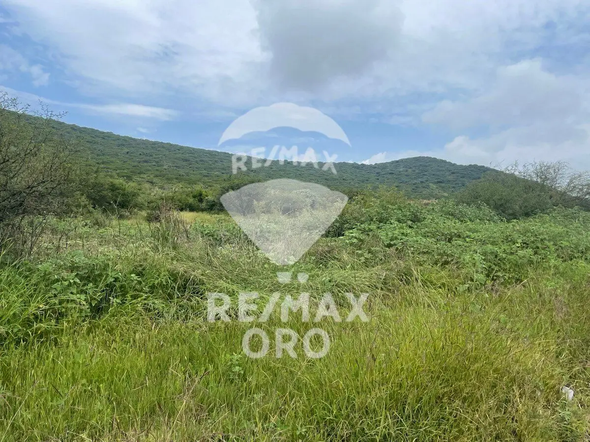 Terreno en Venta — foto 3
