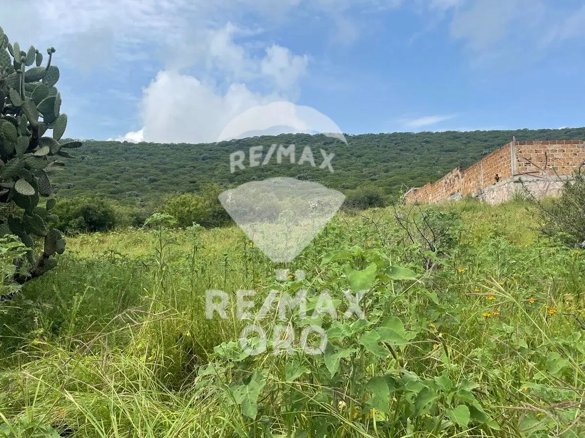 Terreno en Venta — foto 4