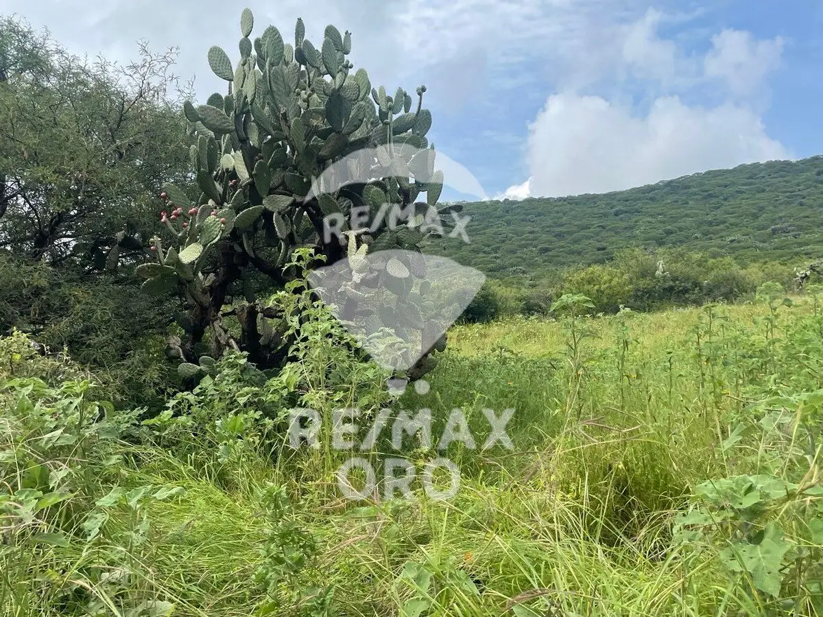 Terreno en Venta — foto 5