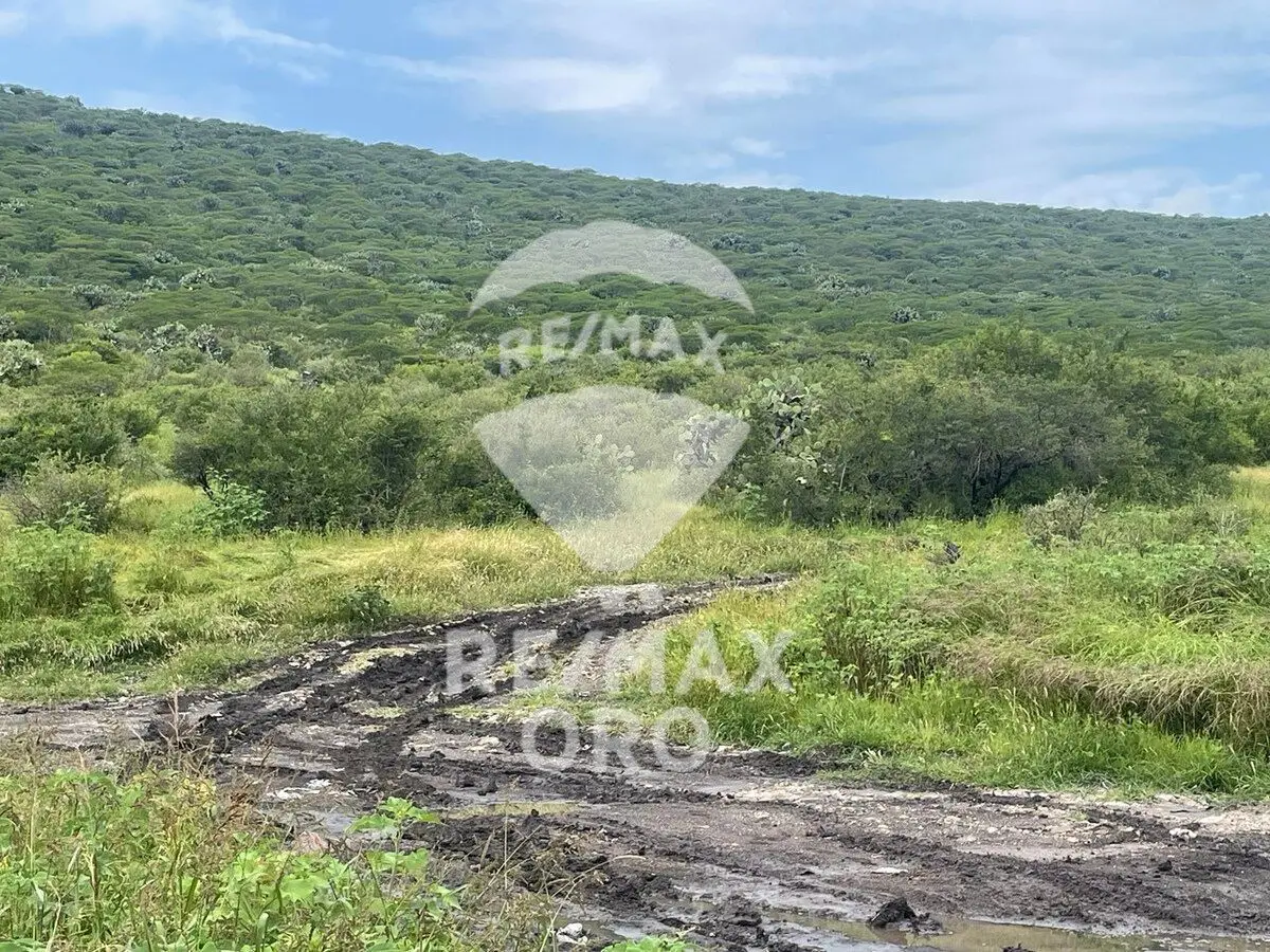 Terreno en Venta — foto 6