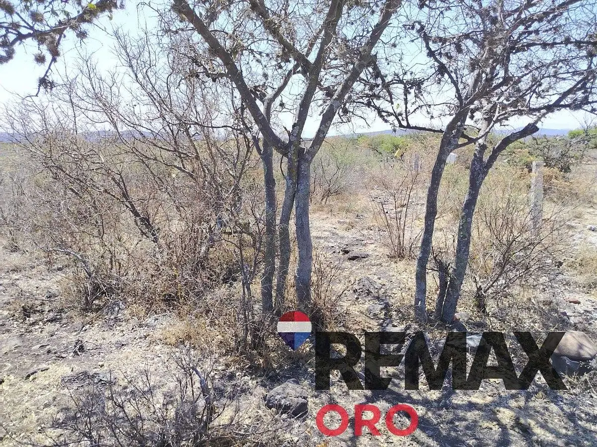 Terreno Rancho Cerro Prieto Carretera Tlacote — foto 3