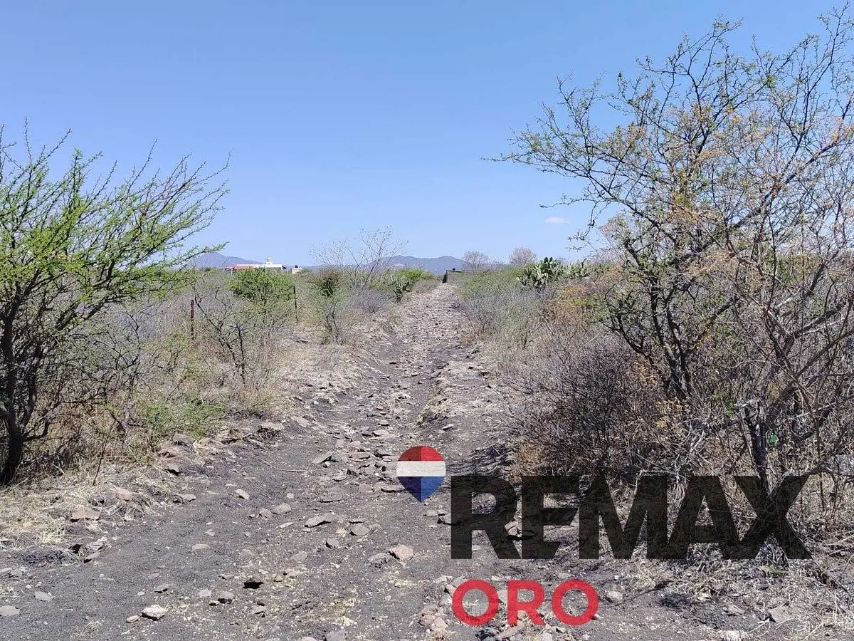 Terreno Rancho Cerro Prieto Carretera Tlacote — foto 4