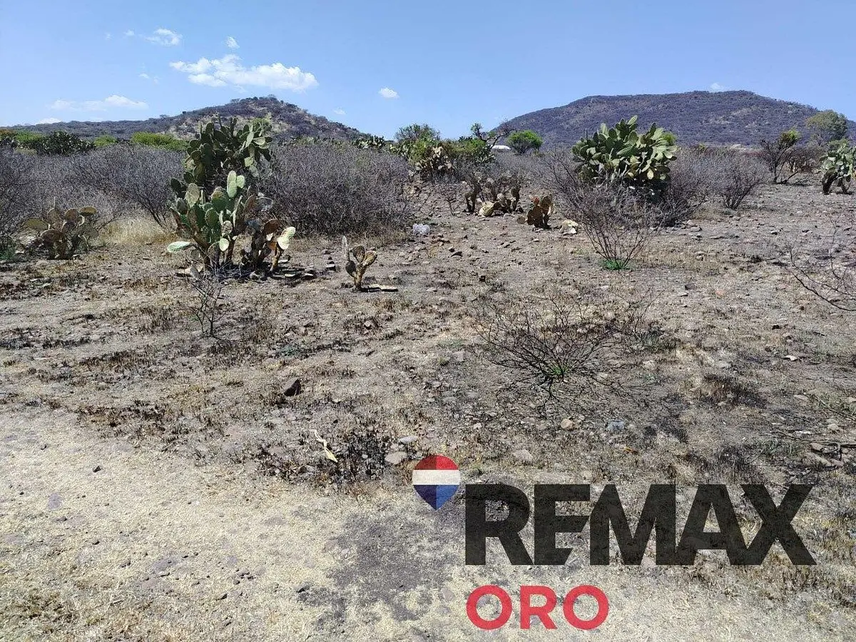 Terreno en la Solana Sobre Carretera a Slp — foto 3