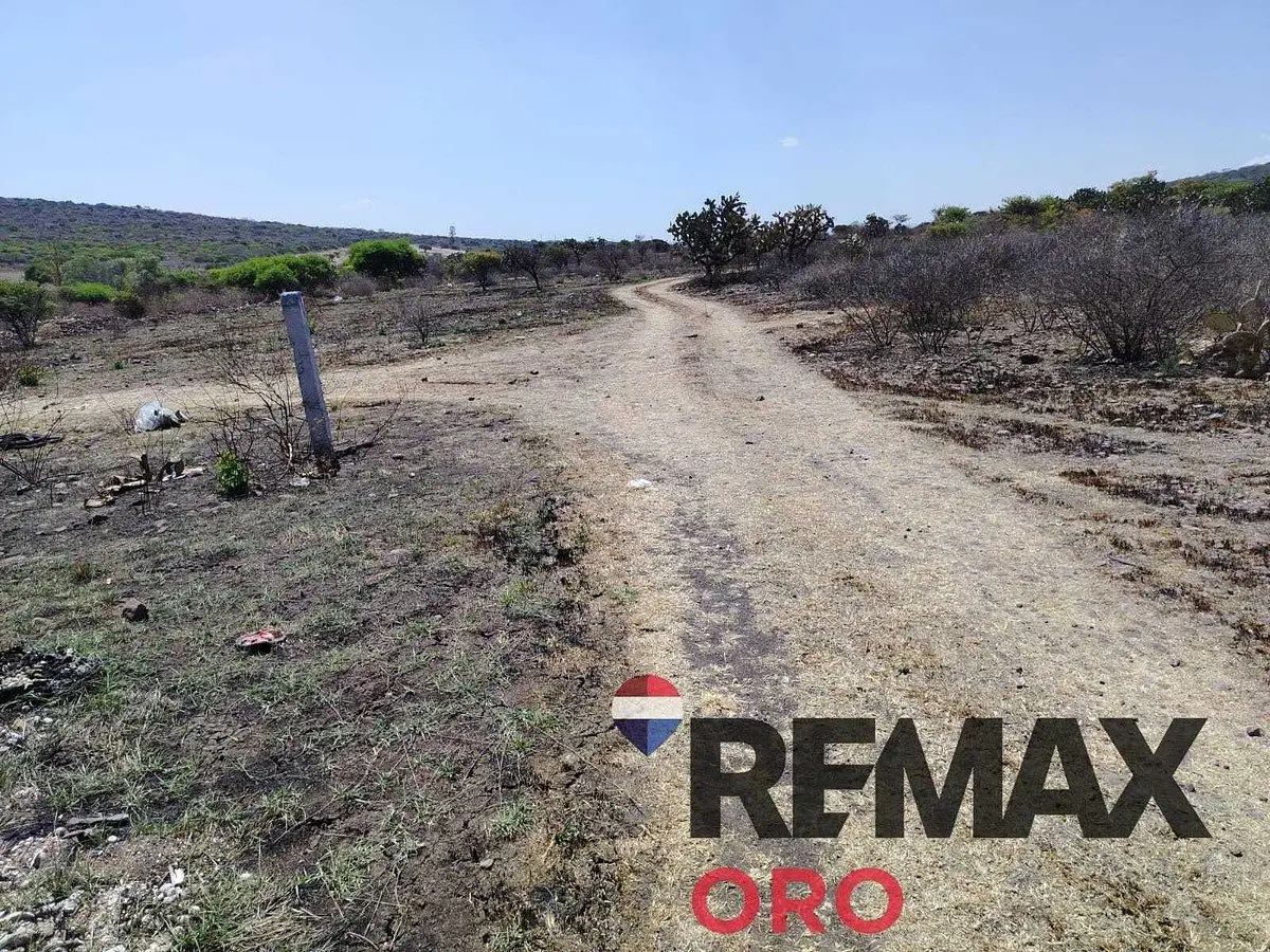 Terreno en la Solana Sobre Carretera a Slp — foto 4