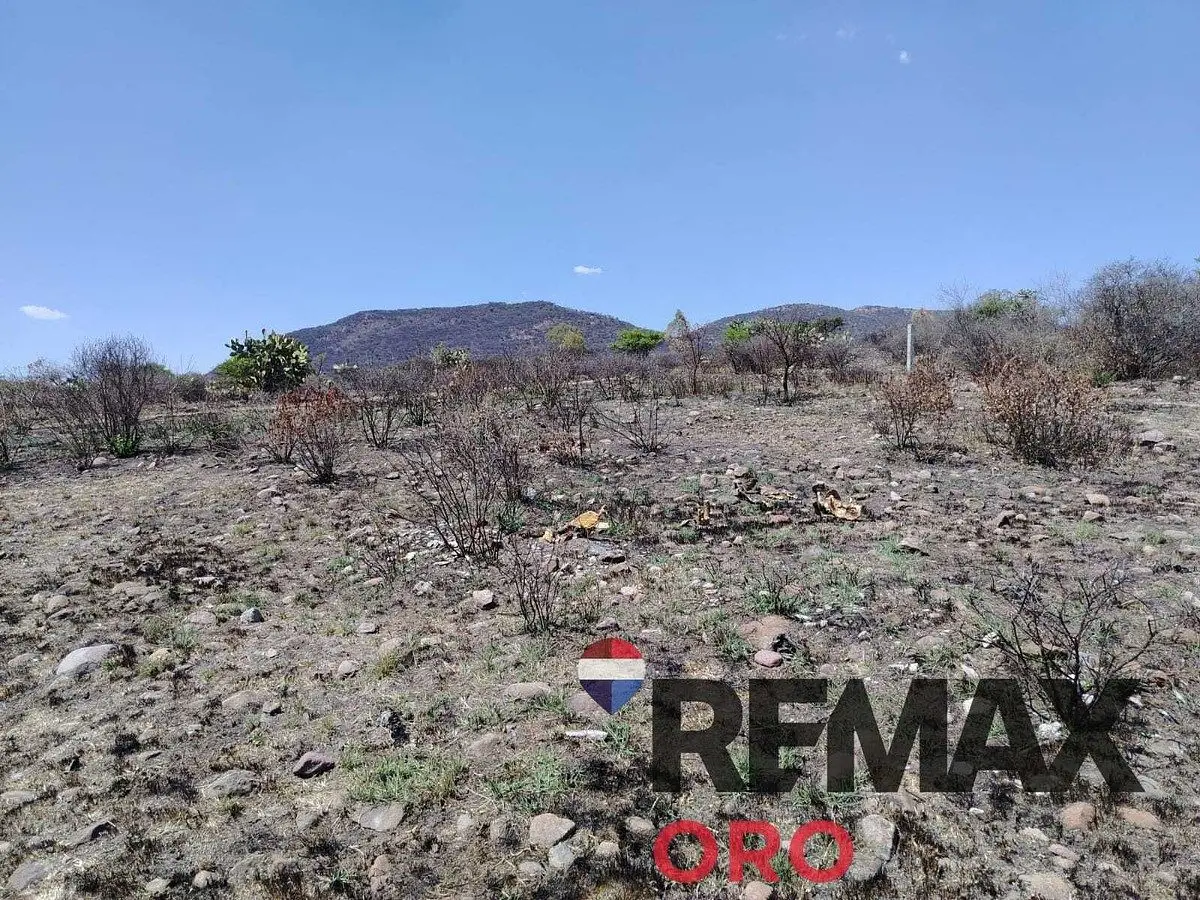 Terreno en la Solana Sobre Carretera a Slp — foto 5