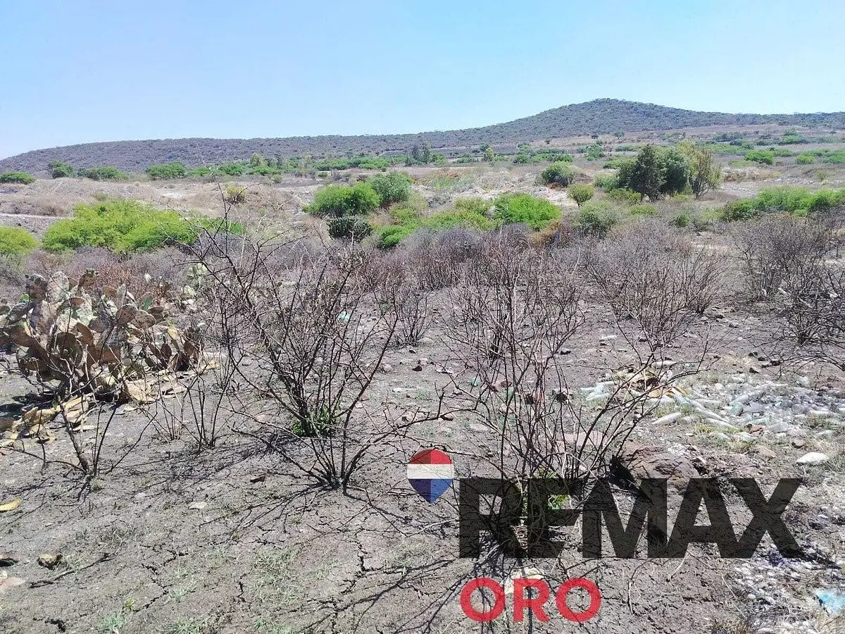 Terreno en la Solana Sobre Carretera a Slp — foto 6