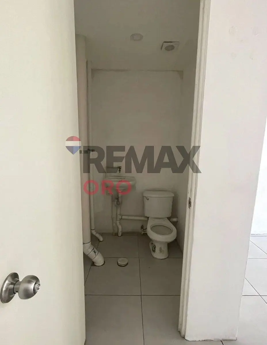 Local en Renta — foto 4