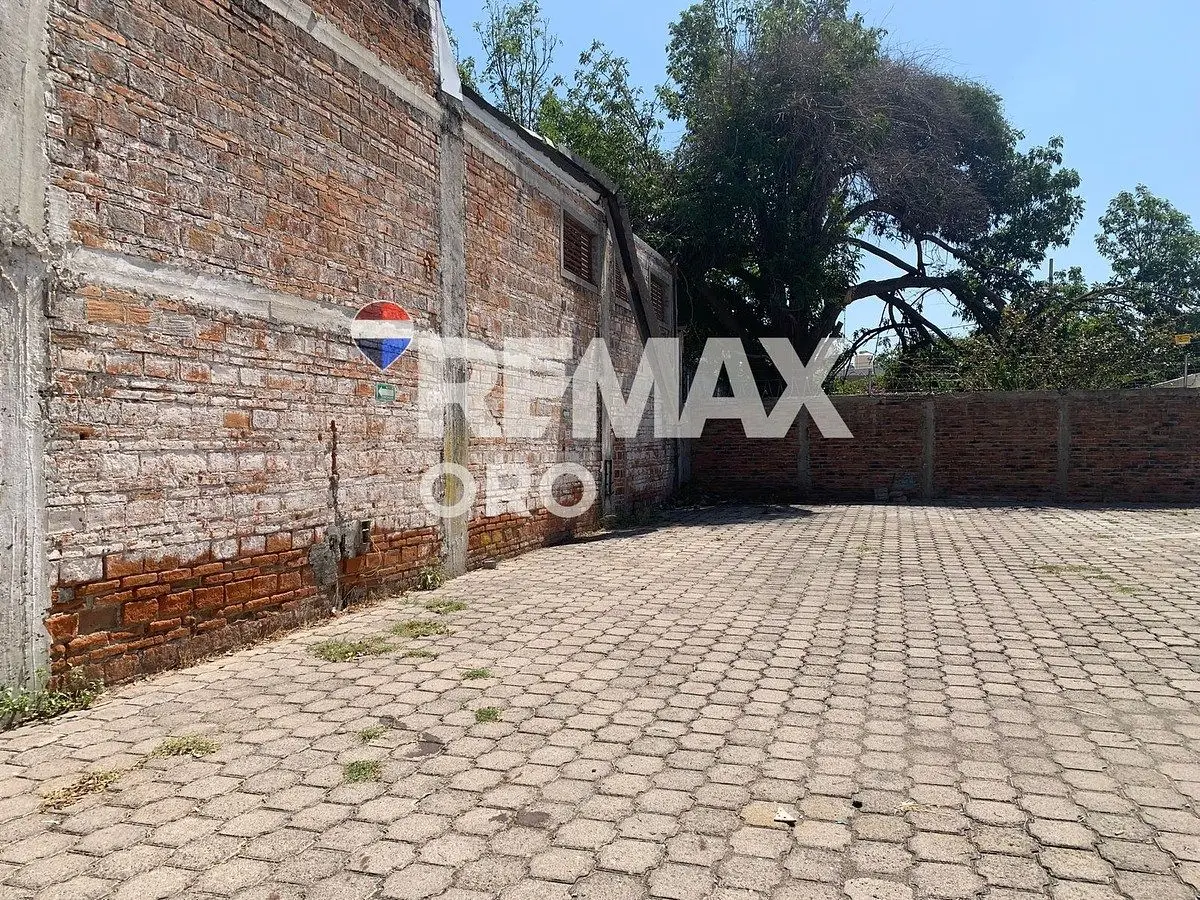 Terreno en Renta — foto 3