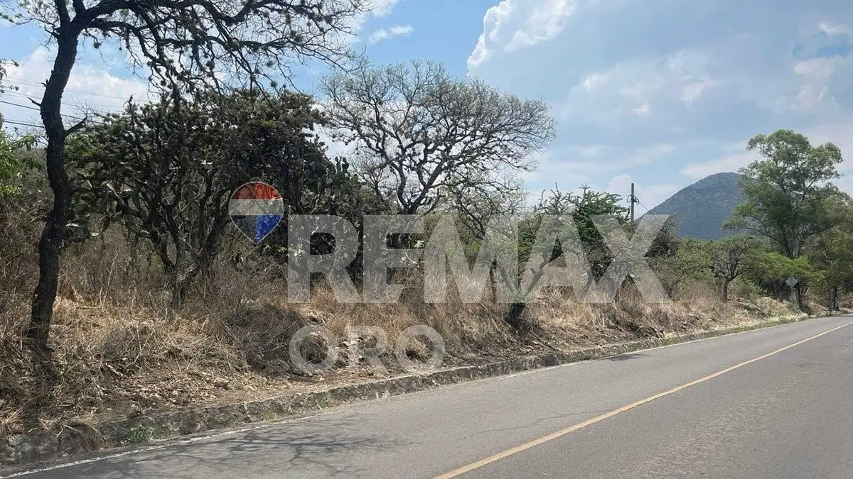 Terreno Campestre Venta — foto 3