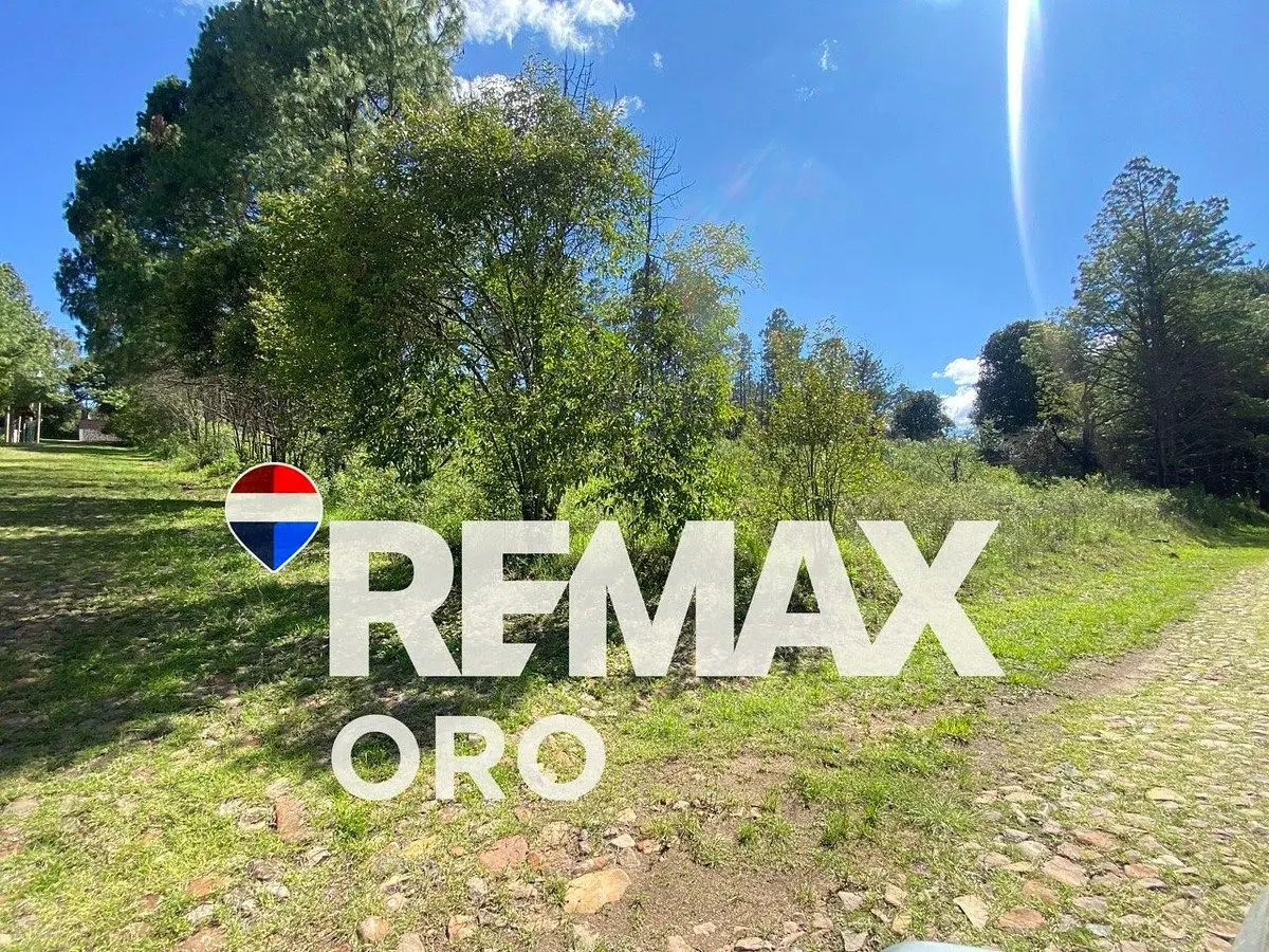Terreno Campestre Amealco Venta — foto 6