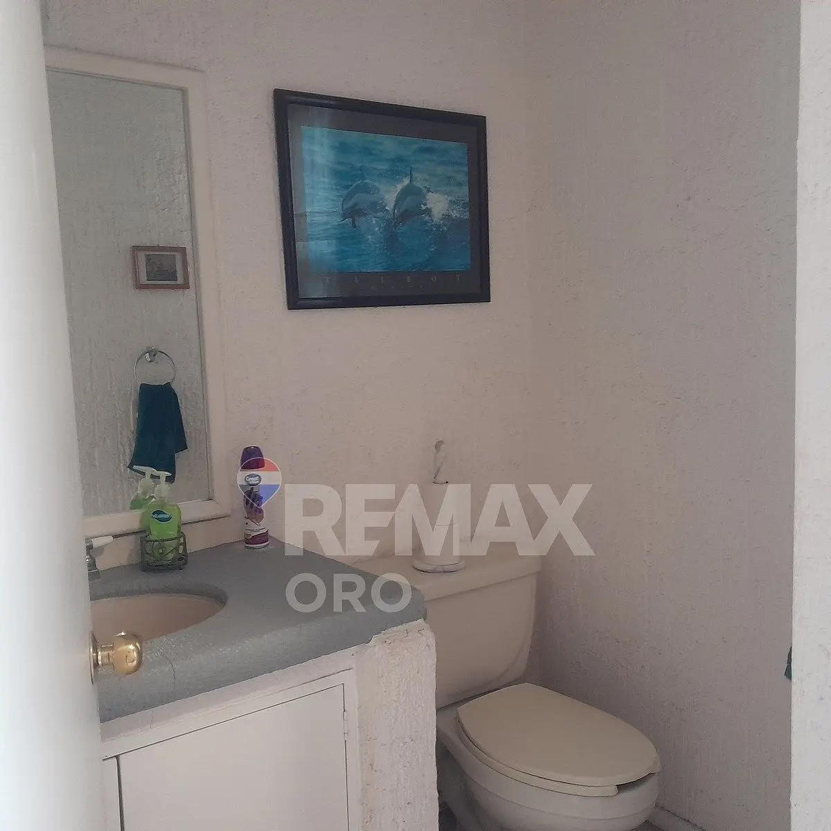 Casa en Venta en Tejeda, Corregidora. Amplia y con Jardin — foto 4