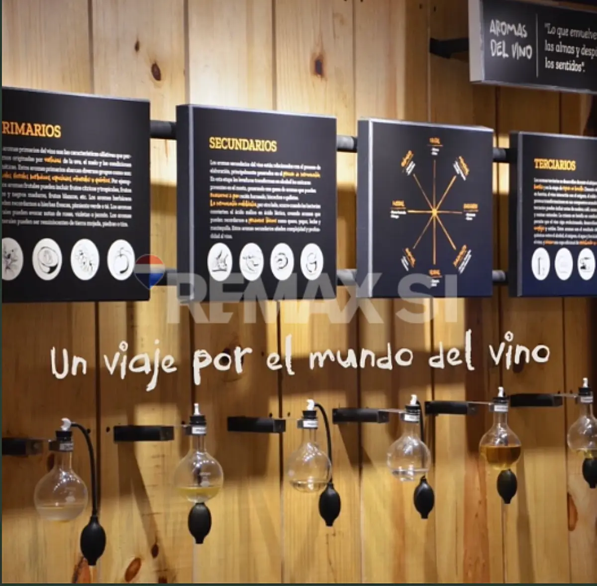 Cfv Viñedo Boutique en Venta en Tecozautla Hidalgo — foto 4