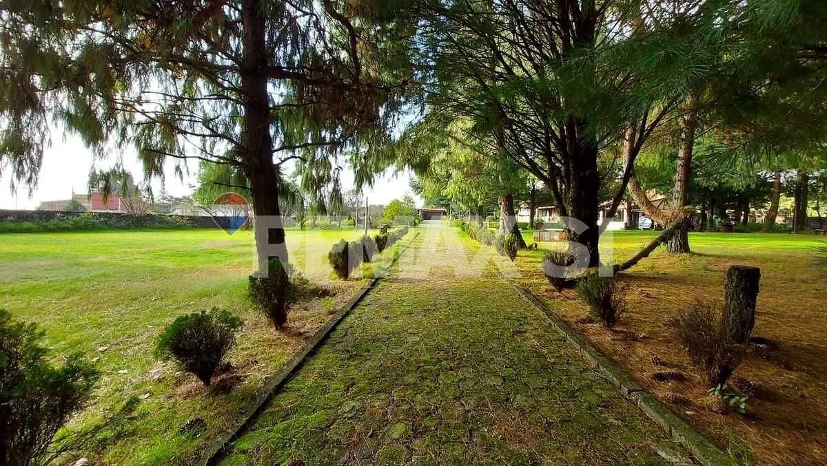 Finca Venta Morelos — foto 3