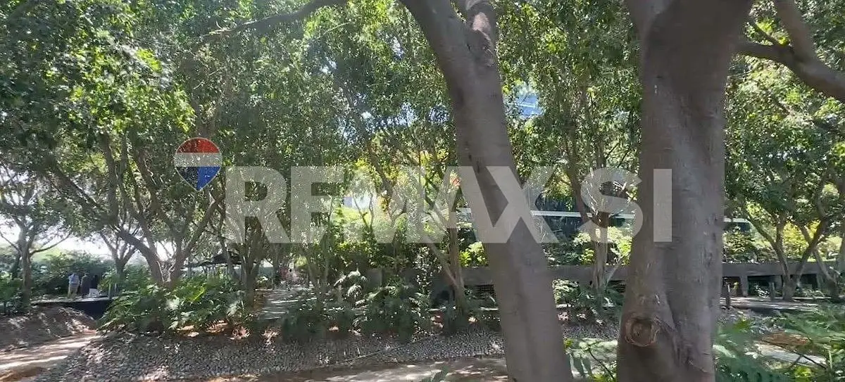 Oficinas en renta en BENITO JUAREZ Torre SEQUOIA Empresaila — foto 4