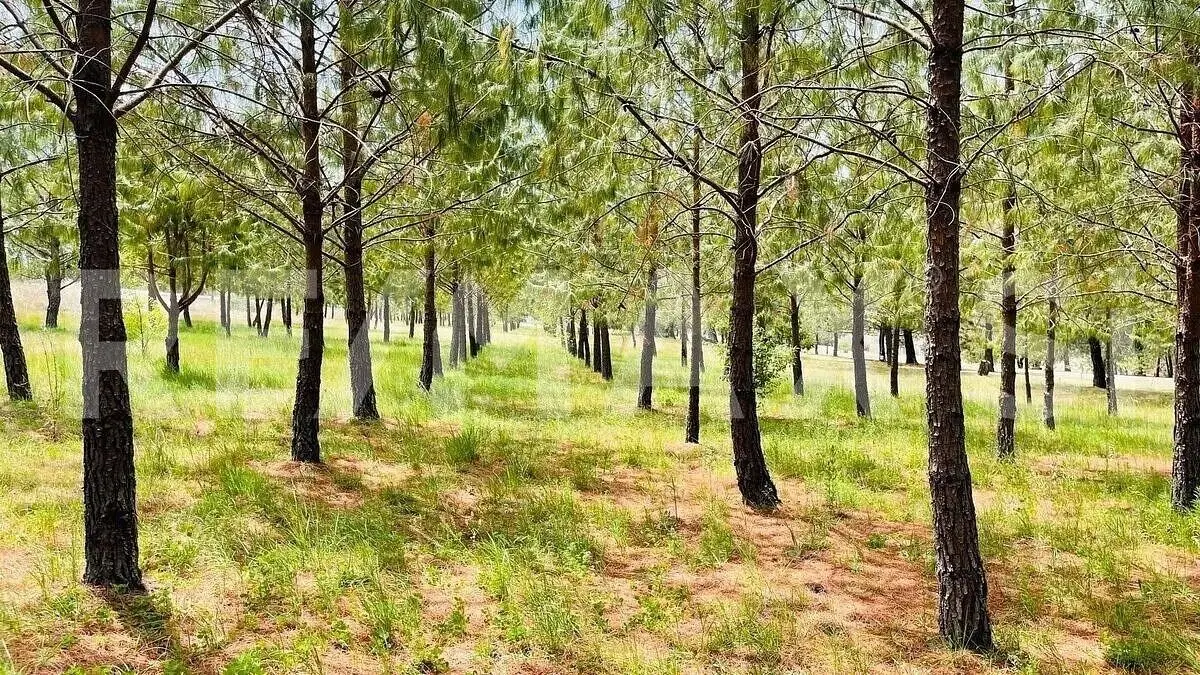 Rancho Venta Aculco Estado de México — foto 5