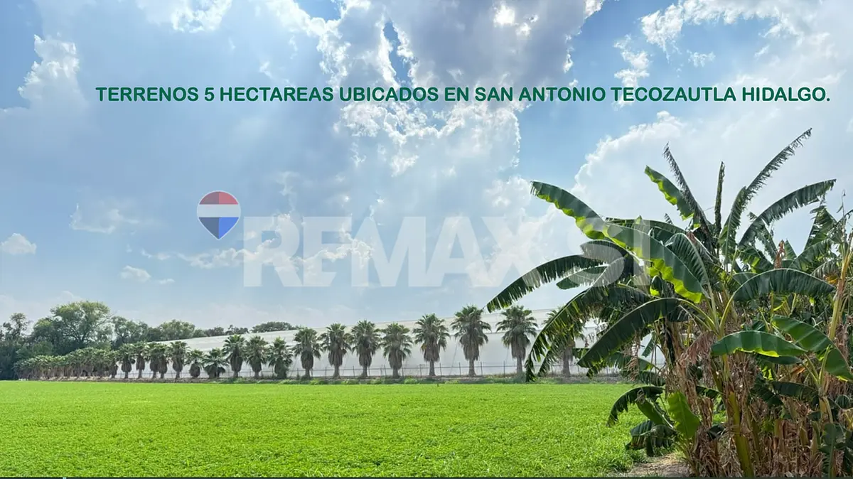 Terreno Agrícola Venta – San Antonio, Tecozautla, Hidalgo