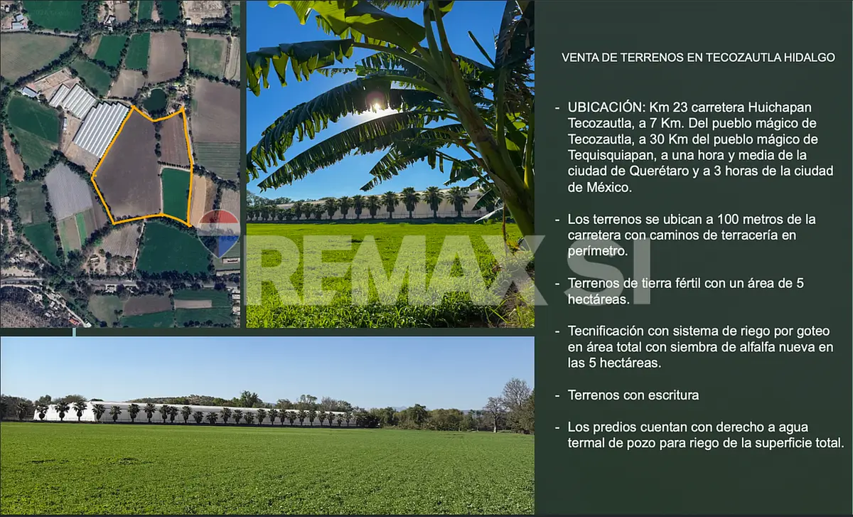 Terreno Agrícola Venta – San Antonio, Tecozautla, Hidalgo — foto 2