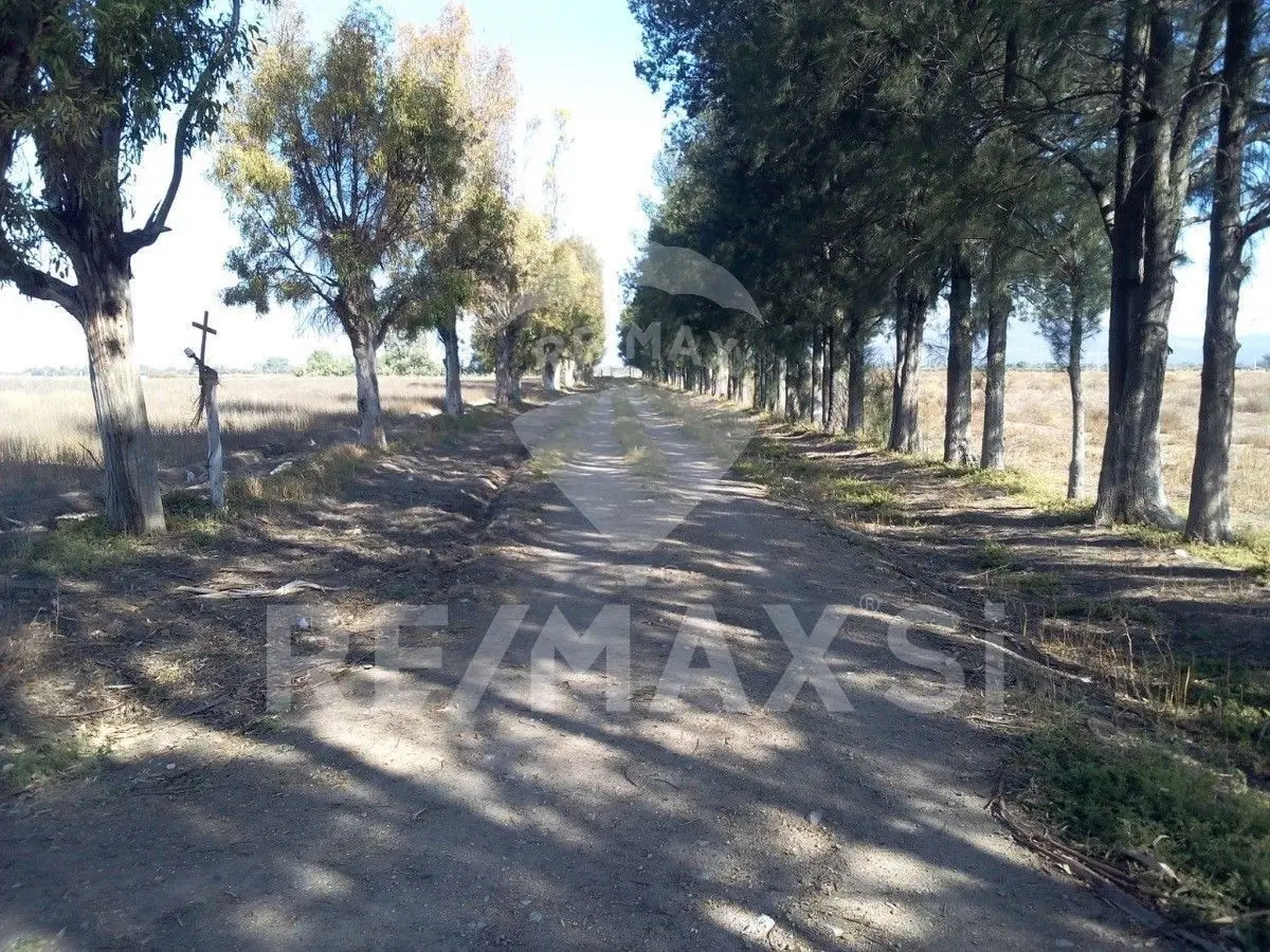 Rfv Venta Rancho San Luis de la Paz Gto — foto 5