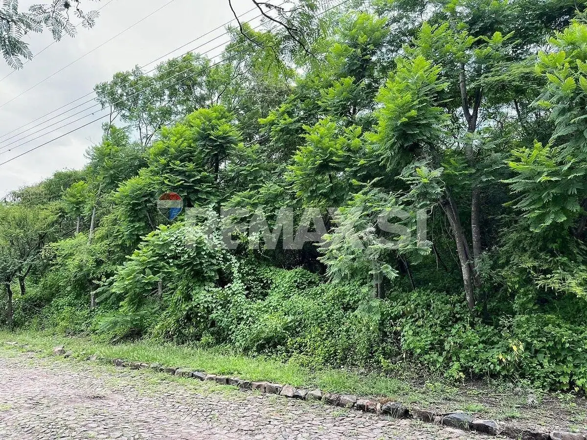 Rtv Terreno Venta Huertas la Joya — foto 3