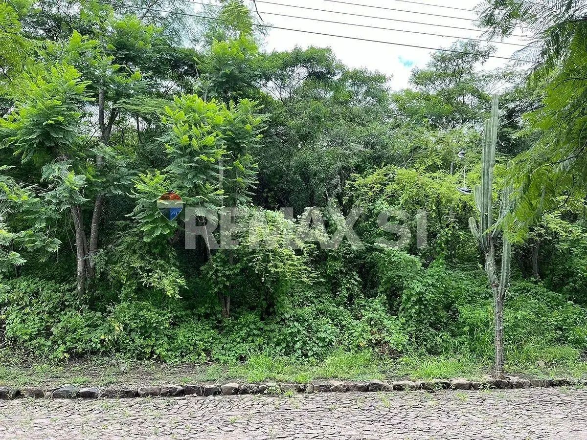 Rtv Terreno Venta Huertas la Joya — foto 5
