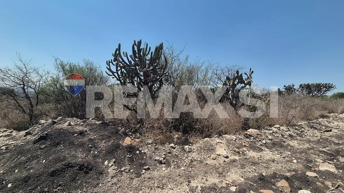 Terreno Comercial Venta en Real de los Cues — foto 2