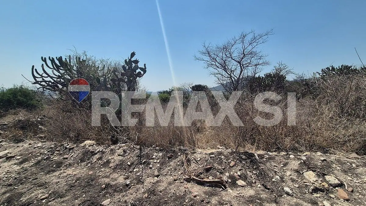 Terreno Comercial Venta en Real de los Cues — foto 3