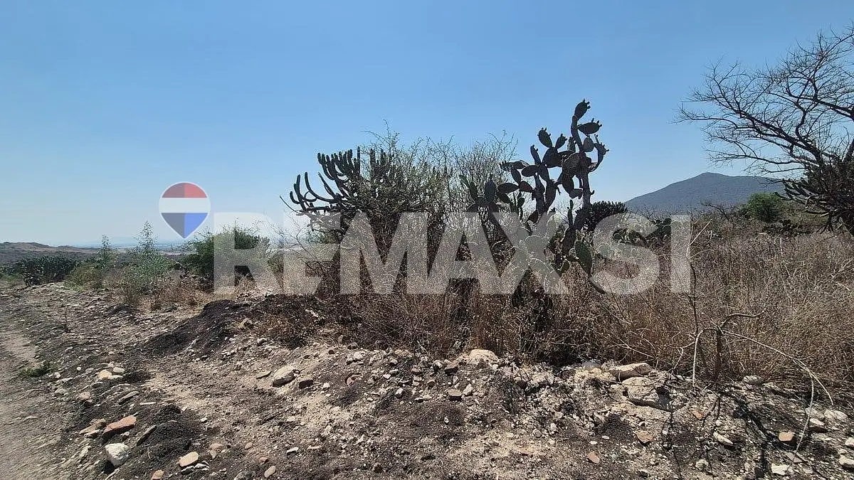 Terreno Comercial Venta en Real de los Cues — foto 4