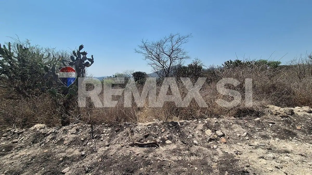Terreno Comercial Venta en Real de los Cues — foto 5
