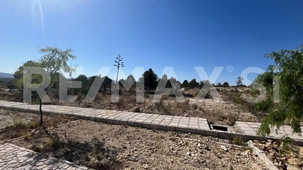 Venta Terreno Mineral de Pozos Gto. — foto 4