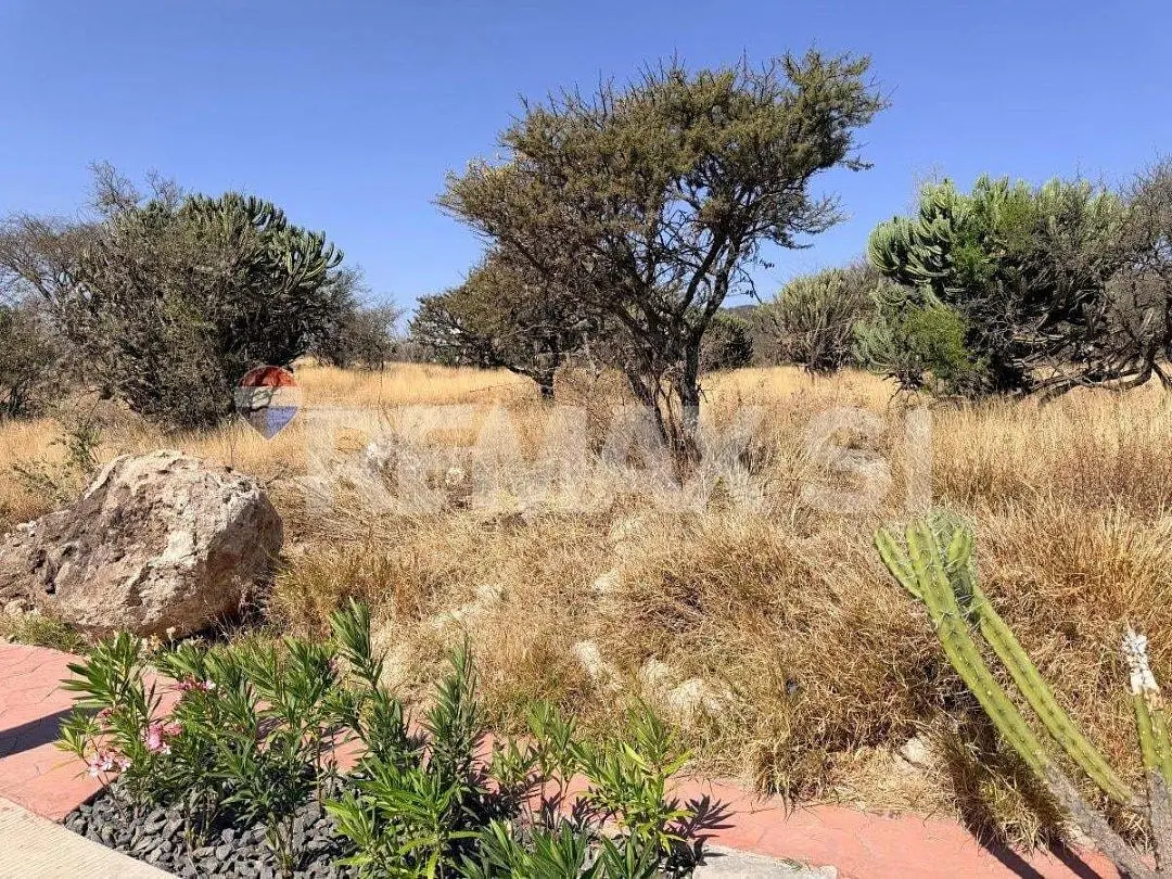 Terreno Venta Altozano — foto 3