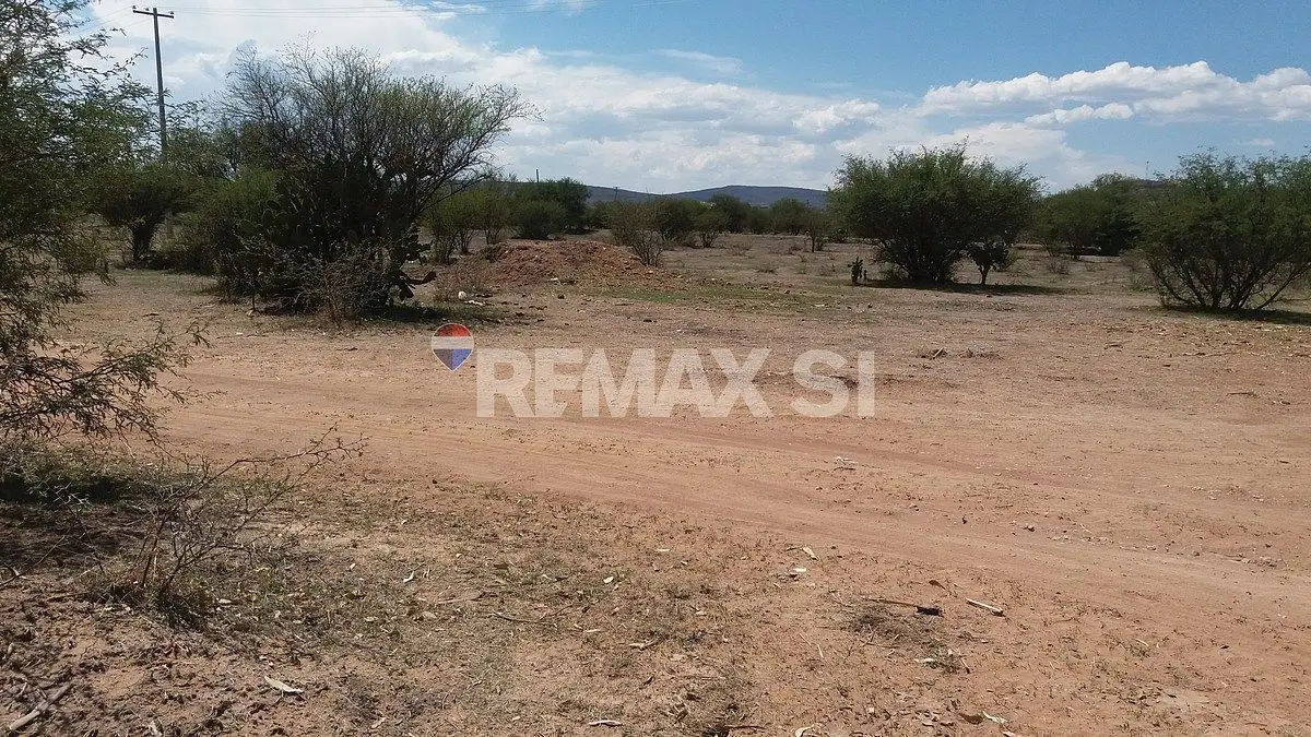 Terreno Venta Colon,el Blanco Universidad Arkanzas — foto 5