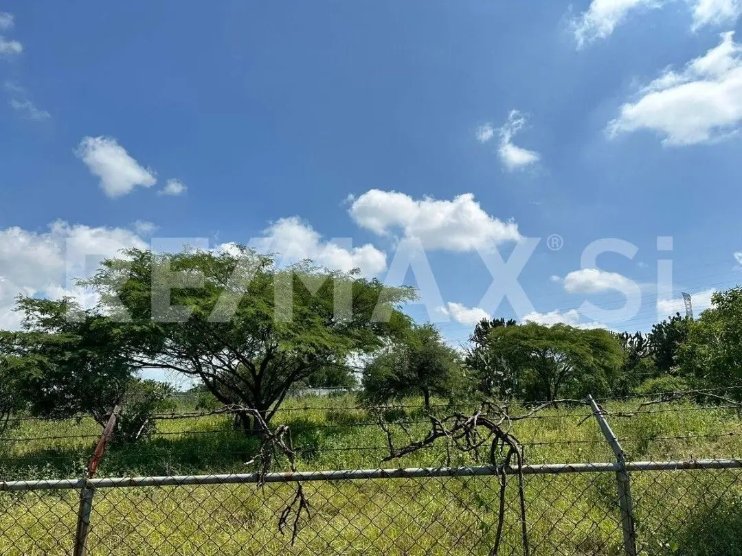 Terreno Venta Apaseo el Grandepunta de Obrajuelo — foto 2