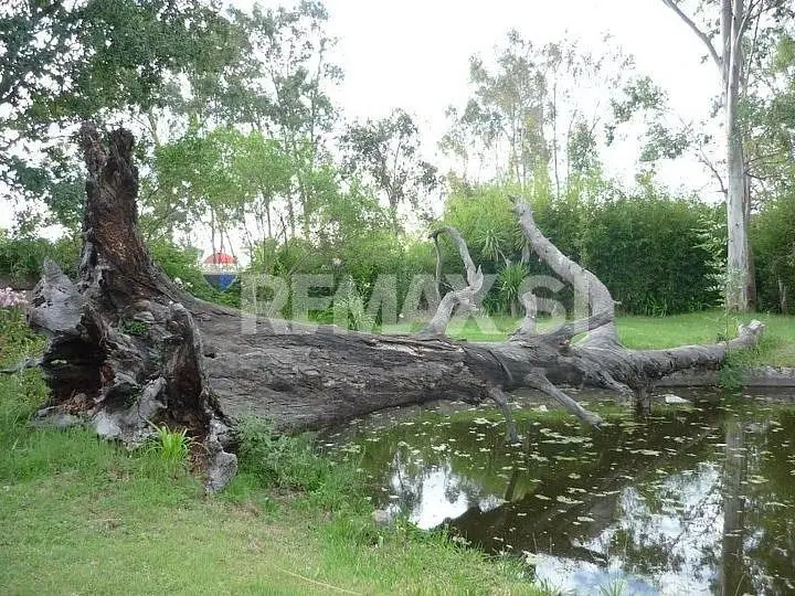 Venta Rancho Polotitlan Edo de Mex — foto 2