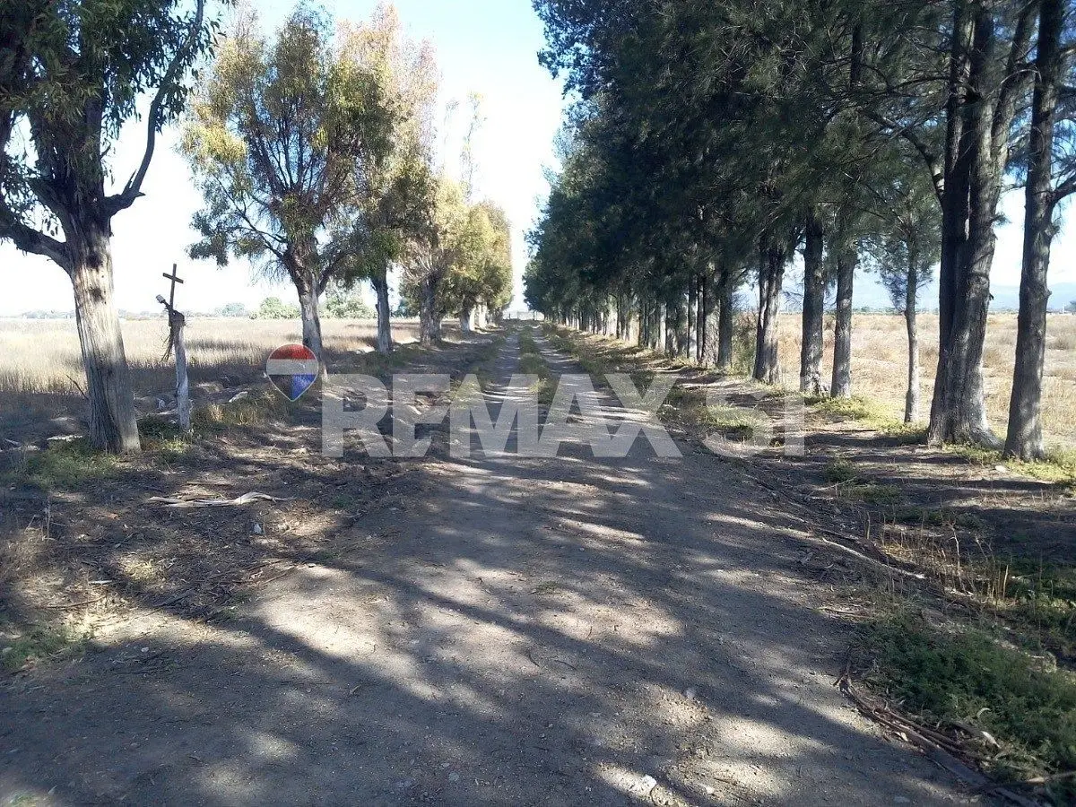Venta Rancho San Luis de la Paz Gto. — foto 5