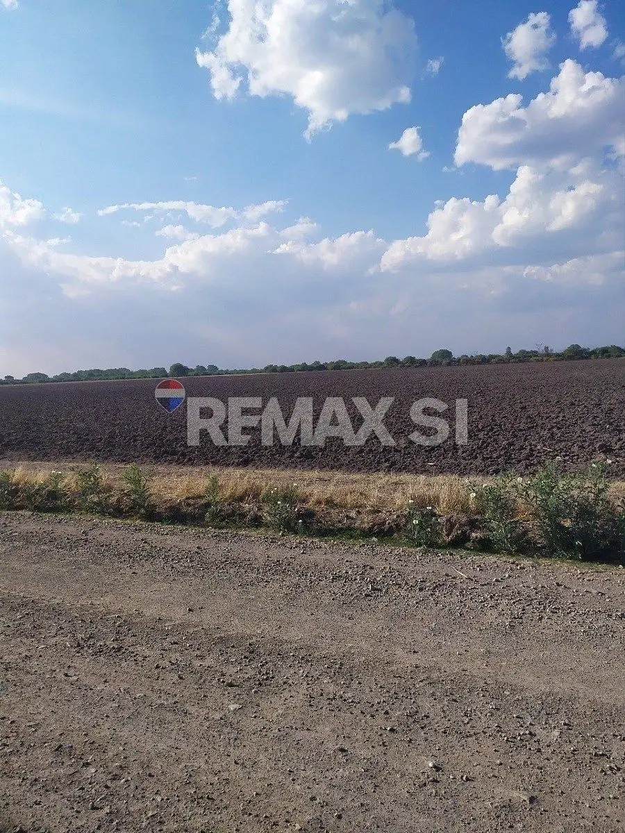 Venta Rancho San Luis de la Paz Gto. — foto 6