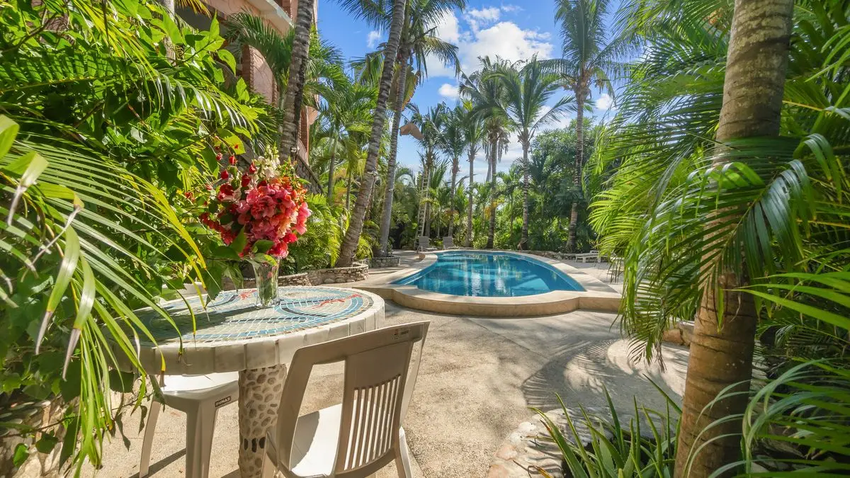 Turtle HouseCasa Tortuga — foto 5
